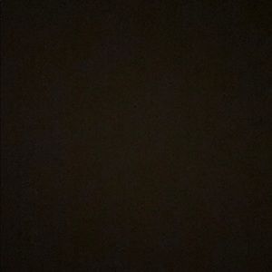 Meet your Posher, Priscilla